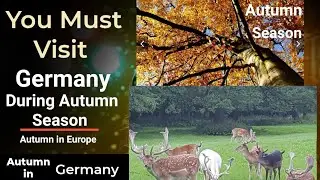 Must Visit Germany during Autumn Season