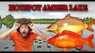 Russian Fishing 4 (RF4) CARP HOTSPOT ON AMBER LAKE! + No PVA
