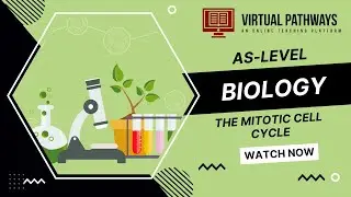 The Mitotic Cell Cycle (Part 3) | AS-Level Biology 9700 | Virtual Pathways