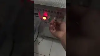 fish clean skin scaling machine #fish cleaning#scaling
