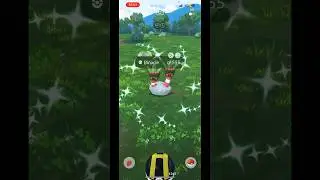 Shiny Binacle Caught in Pokemon Go! #pokemongo #pokemon #shinypokemon #gofest2024 #binacle
