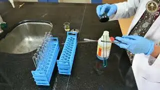 MedSim-Biochemistry-Benedict's test