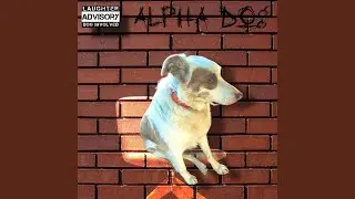 Alpha dog