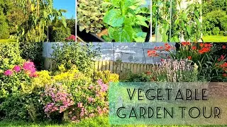 Visit UK Home Garden. My fast Gardening Vlog. Cinematic  Stock Video in Brother Garden