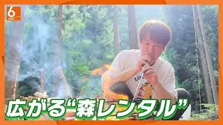 【広がる森レンタル】人はなぜ森を借りるのか？そのワケは・・・【newsおかえり特集】