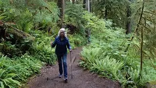 Hiking in Olympic National Park: the most beautiful place on earth | PNW Roadtrip Ep.4