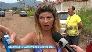 Suposto pouso de 