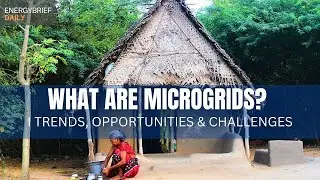 What are Microgrids? Trends, Challenges and Key Drivers in the Minigrid/Microgrid Market 2023