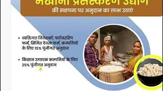 Bihar Makhana Kheti Online 24 | Bihar Govt Makhana की खेती के लिए दे रही है अनुदान आज ही ऑनलाइन करे