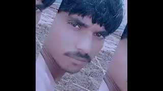 G.mirkar