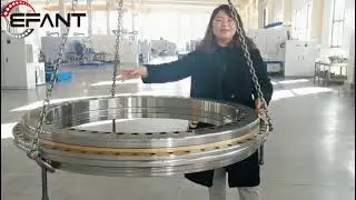 YRT850 rotary table bearing