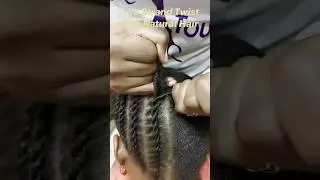Two strand twist with natural hair