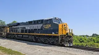 Heritage Hustle: CSX 1836 Honors RF&P on a Sunny Southern Sprint