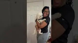 Im trynna see something!! #DogChallenge #Shorts