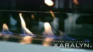 Xaralyn Bio ethanol burners