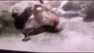 La c&aacute;mara no fall&oacute;&hellip; capt&oacute; algo que no es humano. Y ahora todos quieren saber qu&eacute; es. 👁️💀📹