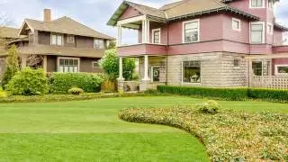 Yard Clean-Ups | Anaheim, CA - Jose Martinez Tree Service