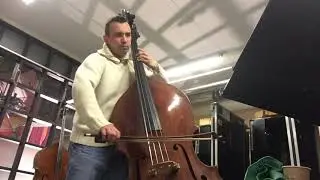 BRAHMS: Symphony 1, 1st mov, double bass excerpt. Dami&aacute;n Rubido Gonz&aacute;lez, double bass