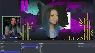 OBS: Using the Move Transition