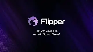 Flipper demo