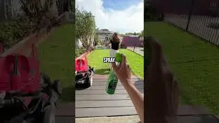 Находим ПАУКОВ в чужих домах в Австралии! #шорты