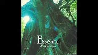 11 Powell - Essence -Music of Mana- (2005)