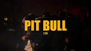 X&rsquo;AM - Pit Bull