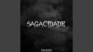 Sagacidade
