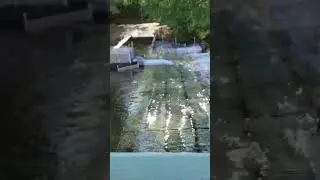 salmon egg extraction   🎣 return ?