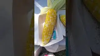 more corn with butter here in the USA2025 #lotsoffood #lotsoffun #peaceriver #electric #party