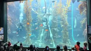 The Birch Aquarium 