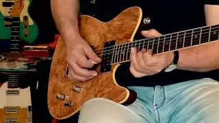 Fender Set Neck Telecaster spalted Maple
