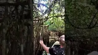 Kayaking in the Everglades | Florida Mangroves
