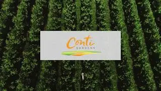 CONTI GARDENS | Walliston | Land for Sale