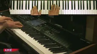 basspig Live Stream