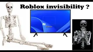 I will help you make Roblox invisible.(Part 1)