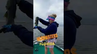 Headwaters Florida 2/1/25 #smallwatercharters #bruiserbaits