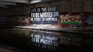 Life is too short to waste on the pursuit of Happiness In the Mandela Effect Dreamworld