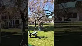 no ladder,no problem!!#treework #tree #brushbuggy