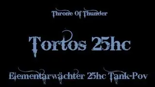 Elementarw&auml;chter VS Tortos 25 heroic (Warrior Tank Pov)