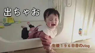 生後196日目 出ちゃお｜1LDK,里帰りなし,完母育児,生後6ヶ月,vlog