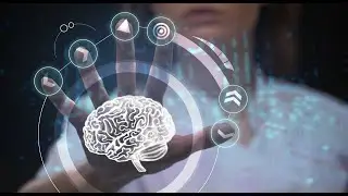 Pacific Brain Health Center Overview