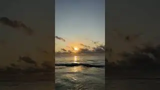 🏝️ #beach #viratkohli #fyp #shorts #youtubeshorts #cricket #love #peace #sunset