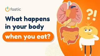 What happens in your body when you eat?