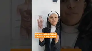 Understand DIGESTIVE SYSTEM in one Minute #digestivesystem#digestionproblem#guthealth#gasbloating