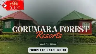 Lataguri Hotel | Lataguri Hotel near Gorumara | Hotels near Gorumara