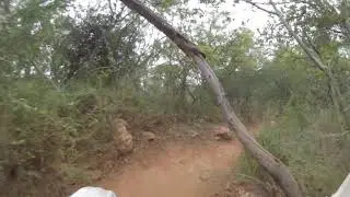 The Wild Wild West
