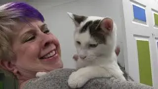 Magic 98.3's Debbie Mazella at Karma Cat & Zen Dog Rescue Society - Episode 15