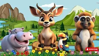 Sound Animals: Tamarin, Hippo, Impala, Toucan - Music For Relax