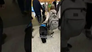 #Disabled #Disability #Dwarfism #LittlePerson #Education #Prosthesis #Prosthetic #ServiceDog